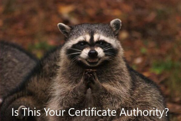 image of racoon implying poor pki certificate authority for enterprise is bad idea