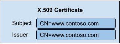self signed certificate content